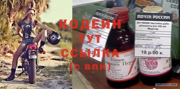 амф Корсаков
