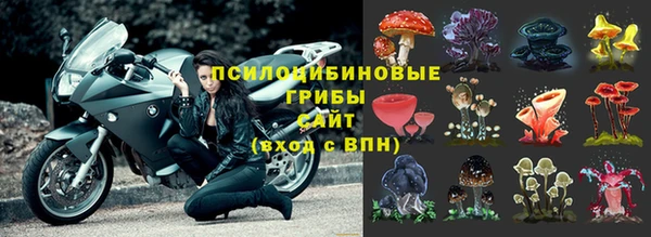 амф Корсаков