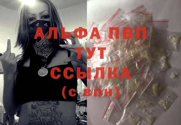 амф Корсаков