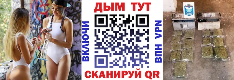 Купить закладки  Дальнегорск  Конопля сатива 